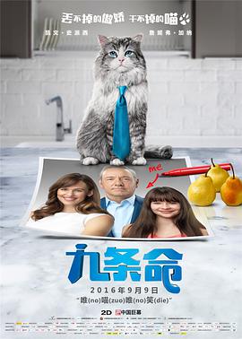 打扑克生猴子